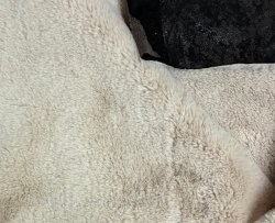 #0302 Ivory Synthetic w/ faux leather backing (18x30)