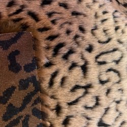 #1024 Cat Print 18\" x 33\"