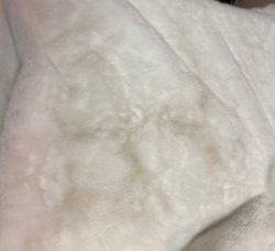 #1167 S234-1318 White 1/4yd