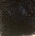 #1463 14mm Black (18x28)