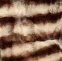 #1607 20mm Tan w/ drk brn stripe over black base