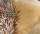 #2045 Steiff Synthetic with bonus lion's mane