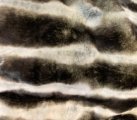 #2046 Beatiful soft Tissavel/DongLim 60x26