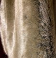 #2085 SST3038 Gold Tip over Dark Grey F(1/4) Synthetic