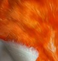 #2100 Orange tip 40mm /White 20mm (19x60)