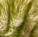 #2103 Lime Green Synthetic white 20mm base green 40mm (18x34)