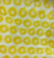 #2127 2" Yellow Polka Dots on white base (18x30)