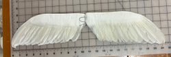 #2169 Angel Wings W14