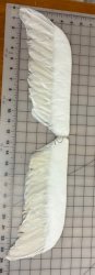 #2170 Angel Wings W16