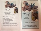 #2181 "Cory" 13" bear pattern