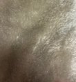 #2200 M06-5484 Silver Mist Memories 1/2 yard