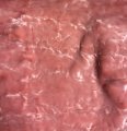 #2310 Electric Pink 8mm pile 20x27 Tissavel synthetic