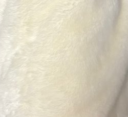 #3000 S556-1318 White F(1/4)