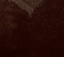 #3004 Dark Brown 6mm Alpaca 19x27