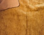 #3210 Semi sparce 6mm Gold Brown mohair (27x17.5)