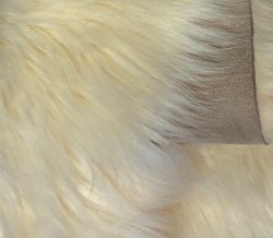 #3214 Cream 40mm 62x6.5 leather backing