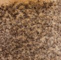#3314 KM16G-2-9019 Beige w/brn tip F(1/8)