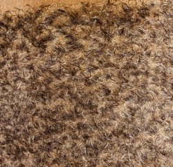 #3314 KM16G-2-9019 Beige w/brn tip F(1/8)