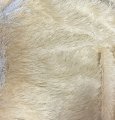 #3380 16mm ECRU string cotton 18x30