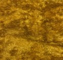 #3402 DDW18-6431 Curry F(1/4) #3402 DDW18-6431 Curry F(1/4)