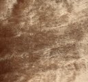 FD50-5022 Dark Tan