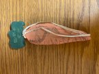 #1407 6" wooden carrot