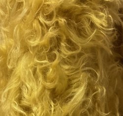 AW30-5091 Brassy Yellow