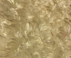 #1090 B75-2H-0100 White 15x27 White hard tip