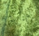 BDW75-6954 Green