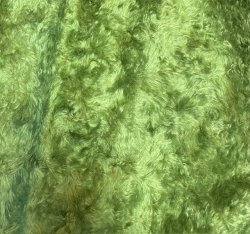 BDW75-6954 Green