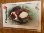#1403 Mary Wimberley's 8" Bonzo Bunny Pattern