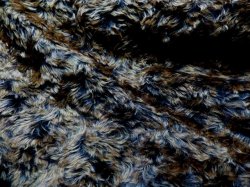 DDW18-2-9791 Brown/Copper Tip (1/2 yd)