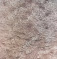 DDW18-5743 Pink Lilac