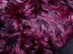 DDW18G-2-9766 Bordeaux, Orchid Pink Tips