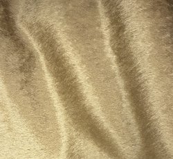 #1432 F50-4062 Caramel F(1/4)