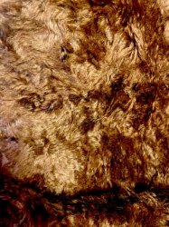 #1466 MDW18-208 Rich Medium Brown (F 1/4)