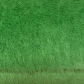 L06-6876 Lime Green
