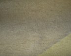 #1022 L09-4272 Tan F(1/4)