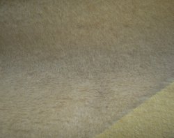 #1022 L09-4272 Tan F(1/4)