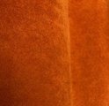 LUS Saffron #8207
