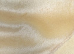 #2095 M08-5798 Banana F(1/4)