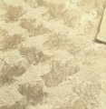 #3449 MC08-6406 Yellow F(1/4)