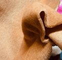 #1400 1/4" pile synthetic Ginger F(1/4)