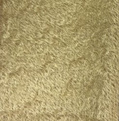 #3245 ND06-5507 Desert Gold F(1/4)