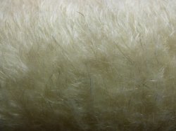 #2040 NF16-1000 with black fibers F(1/4)