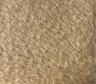 NF16-4617 Cafe au Lait