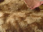 MC08-5450 Golden Brown Only a fat 1/4 yard available