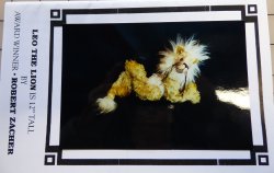 Leo the Lion 12\"