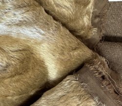 New FD50-6119 Antique Brown F(1/4)