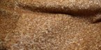 #3435 KM16-2-9038 Gold w/dark tip F(1/4) #3435 KM16-2-9038 Gold w/dark tip F(1/4)